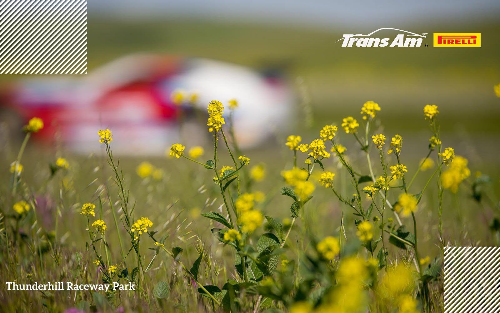 Behind the Lens by Seth DeDoes 